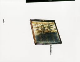 Elisa Sighicelli 8837084250 Book Cover