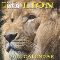LION CALENDAR 2022: LION calendar 2022 "8.5x8.5" Inch 16 Months JAN 2022 TO APR 2023 finished and Glossy B093MXHD4J Book Cover