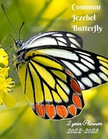 Common Jezebel Butterfly 2022-2023 2-Year Planner: With June - December 2021 Monthly Spread Included Weekly and monthly planner 24 Month Calendar ... Year Planner Goals Calendar Appointment Notes B096TTDQVD Book Cover