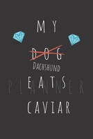 My Dachshund Eats Caviar Planner: Weekly Organizer Book with Lined Journal for Reflection (50 weeks, 6x9, 106 pages, undated) Includes 50 Interesting Facts About Dachshunds! 1679161601 Book Cover