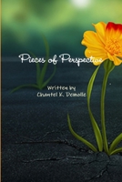 Pieces of Perspective 0692486410 Book Cover