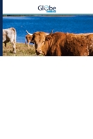 Lexikální průvodce k Lukásovu evangeliu 6206795489 Book Cover