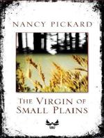 The Virgin of Small Plains: A Novel of Suspense