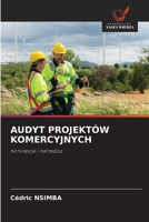 Audyt Projektów Komercyjnych (Polish Edition) 6209714544 Book Cover