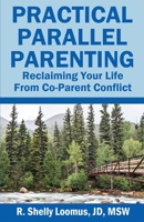 Practical Parallel Parenting: Practical Parallel Parenting B0CBNJW5M8 Book Cover