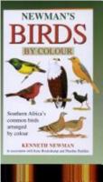 Newman's Birds by Colour 1868724484 Book Cover