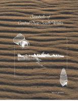 Seashells of Central New South Wales: A Survey of the Shelled Marine Molluscs of the Sydney Metropolitan Area and Adjacent Coasts 0646237608 Book Cover