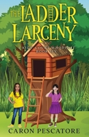 The Ladder Larceny: A Children's Courtroom Mystery (A Kids' Court Whodunit) B0CK3QR1Y4 Book Cover
