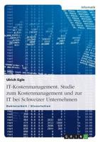 It-Kostenmanagement. Studie Zum Kostenmanagement Und Zur It Bei Schweizer Unternehmen 3640305329 Book Cover