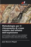 Metodologia per il rilevamento di crepe indotte dall'effetto dell'esplosione 6209317030 Book Cover
