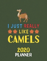 I Just Really Like Camels 2020 Planner: Weekly Monthly 2020 Planner For People Who Loves Camels 8.5x11 67 Pages 1678464724 Book Cover