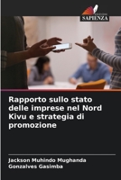 Rapporto sullo stato delle imprese nel Nord Kivu e strategia di promozione 6206240592 Book Cover