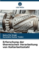 Erforschung der thermischen Verarbeitung von Kaltarbeitsstahl (German Edition) 6206913961 Book Cover