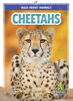 Cheetahs 1645195015 Book Cover