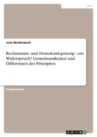 Rechtsstaats- und Demokratieprinzip - ein Widerspruch? Gemeinsamkeiten und Differenzen der Prinzipien 3346772535 Book Cover