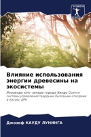 Влияние использования э& 6205751798 Book Cover
