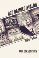 God Damned Avalon: Flash Fiction 177161532X Book Cover