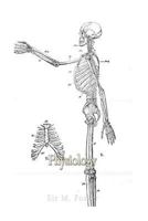 Physiology 1540403807 Book Cover