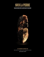 Sous la pierre: Regards croisés entre paléontologie et radiologie (French Edition) B0H4VBLYHV Book Cover
