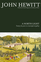 A North Light: Twenty-Five Years in a Municipal Art Gallery 1846823641 Book Cover
