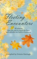 FLEETING ENCOUNTERS: 30 stories that are sure to touch the heart and rekindle our faith in humanity B08M2HBGRR Book Cover