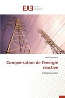 Compensation de L'A(c)Nergie Ra(c)Active 3841746977 Book Cover