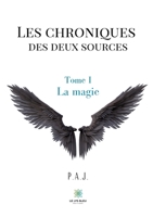 Les chroniques des deux sources: Tome I - La magie B08WZ8XM7F Book Cover