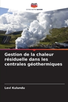 Gestion de la chaleur résiduelle dans les centrales géothermiques 6207308530 Book Cover
