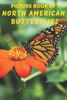 Picture Book of North American Butterflies: A Gift/Present Book for Alzheimer's Patients, Seniors with Dementia And Adults Facing Life's Challenges | ... Colored Pictures with Names (Dementia Books) B08BVWTDQ7 Book Cover