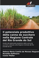Il potenziale produttivo della canna da zucchero nella Regione Centrale del Rio Grande do Sul (Italian Edition) 6208667402 Book Cover