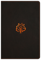 I Am Bible, Black LeatherTouch 1433645572 Book Cover