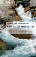 Mein Ich im Wildwasser: Tagebuch einer Traumatherapie (German Edition) 3756883000 Book Cover
