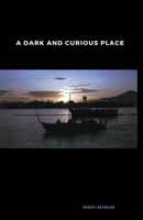 A Dark and Curious Place 167809319X Book Cover