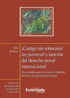 CASTIGO SIN SOBERANO IUS PUNIENDI Y FUNCION DEL DERECHO PENAL INTERNACIONAL 9587109074 Book Cover