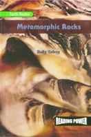 Metamorphic Rocks 0823964663 Book Cover