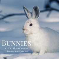Bunnies 8.5 X 8.5 Photo Calendar January 2020 - June 2021: 18 Monthly Mini Picture Calendar Book Cute 2020-2021 Year Blank At A Glance Monthly Colorful Wall Page Planner 2 Years Yearly Overview Large  1698660170 Book Cover