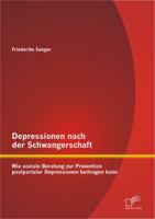 Depressionen Nach Der Schwangerschaft: Wie Soziale Beratung Zur PR Vention Postpartaler Depressionen Beitragen Kann 384288253X Book Cover