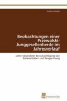 Beobachtungen Einer Przewalski-Junggesellenherde Im Jahresverlauf 3838129350 Book Cover