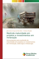 Medindo maturidade em projetos e investimentos em minera��o 3639693094 Book Cover