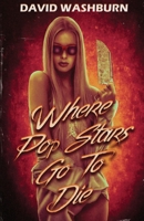 Where Pop Stars Go to Die B0FKPQL318 Book Cover