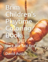 Brim Children's Playtime Coloring Book: Black Ant And Red Ant 170559638X Book Cover