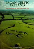 Pagan Celtic Ireland: The Enigma of the Irish Iron Age 0500050724 Book Cover