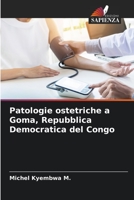 Patologie ostetriche a Goma, Repubblica Democratica del Congo 6204099094 Book Cover