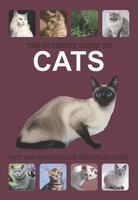 The Ultimate Guide to Cats 1445453908 Book Cover