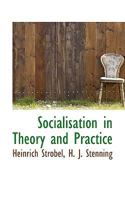 Socialisation in Theory and Practice 1016556314 Book Cover