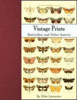 Vintage Prints: Butterflies and Other Insects 1544851081 Book Cover