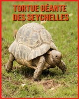 Tortue Géante des Seychelles: Recueil d’Informations Amusantes pour Enfants & Photos Etonnantes B08WJW8YBD Book Cover