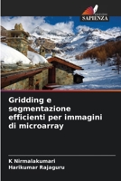 Gridding e segmentazione efficienti per immagini di microarray (Italian Edition) 6204800183 Book Cover