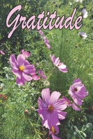 Gratitude 1073002098 Book Cover