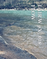 LAIR W pX | 018 Flow 1034942042 Book Cover
